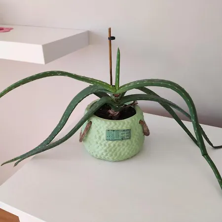 M&h Loft - T2 Em 公寓